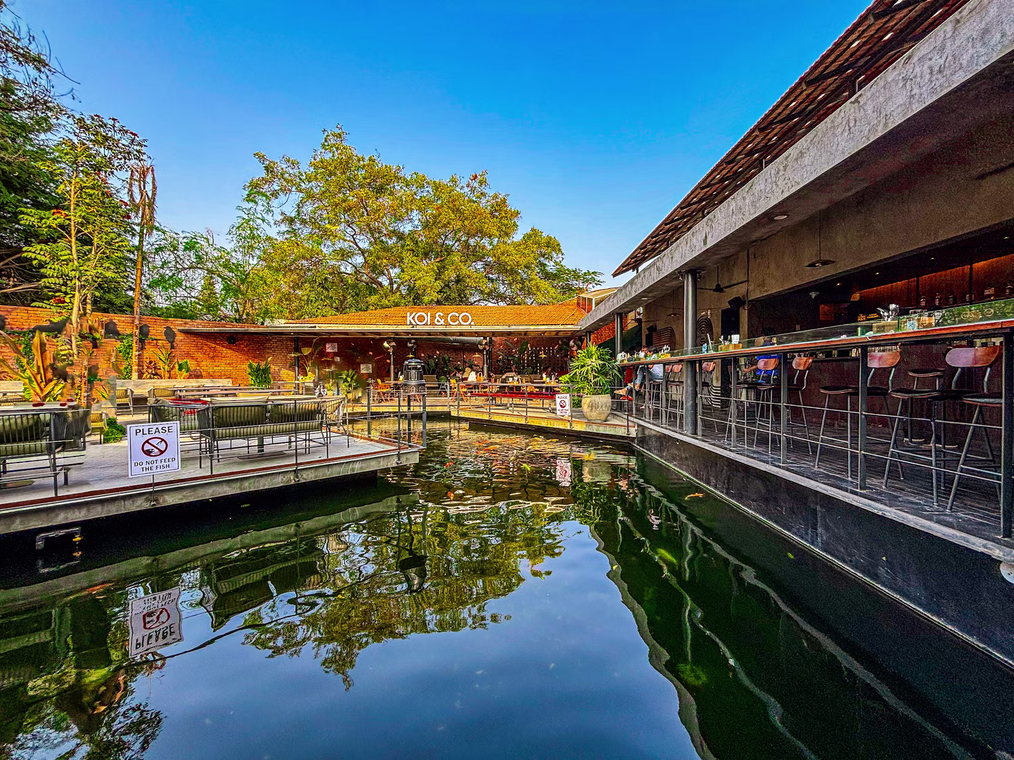 A Culinary Adventure: The Rise of Fusion Cuisine